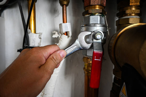 Best Plumbing Inspection Services  in Hyde Rk, PA